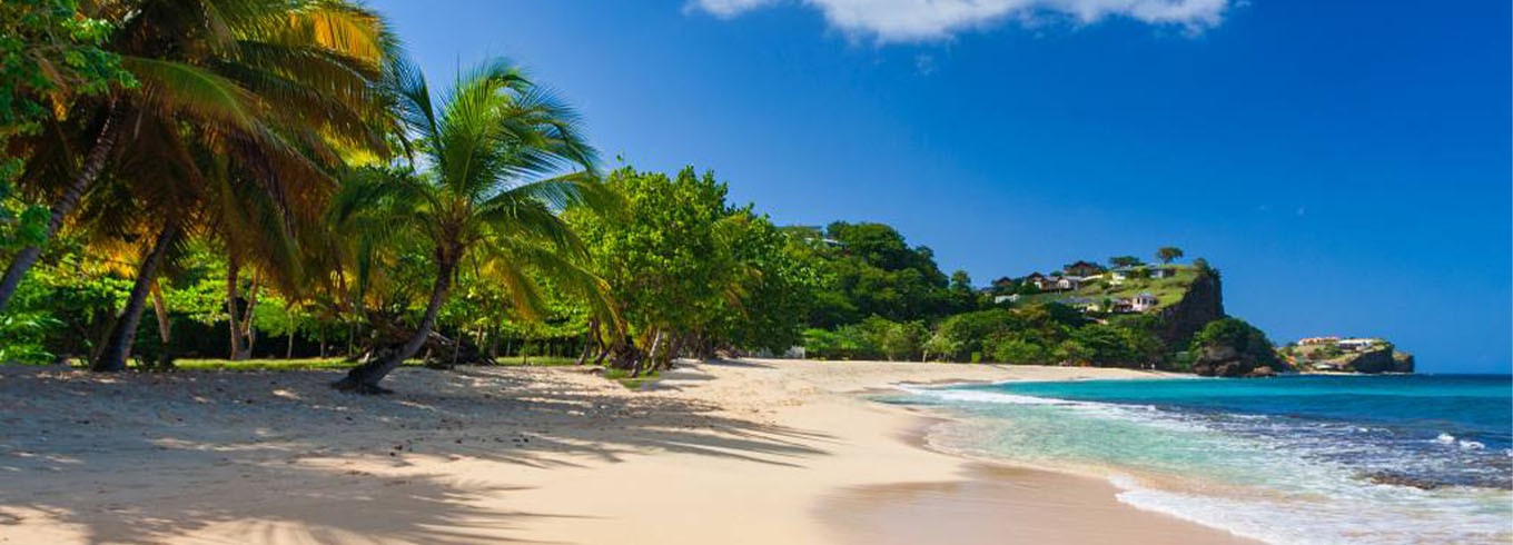 7-Night Caribbean Voyage